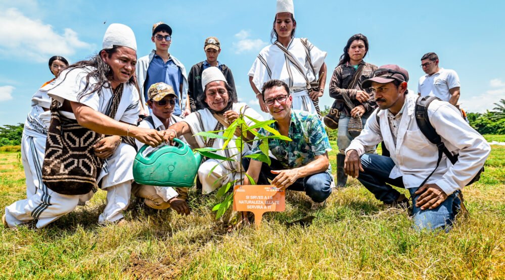 periodicoalbores.com