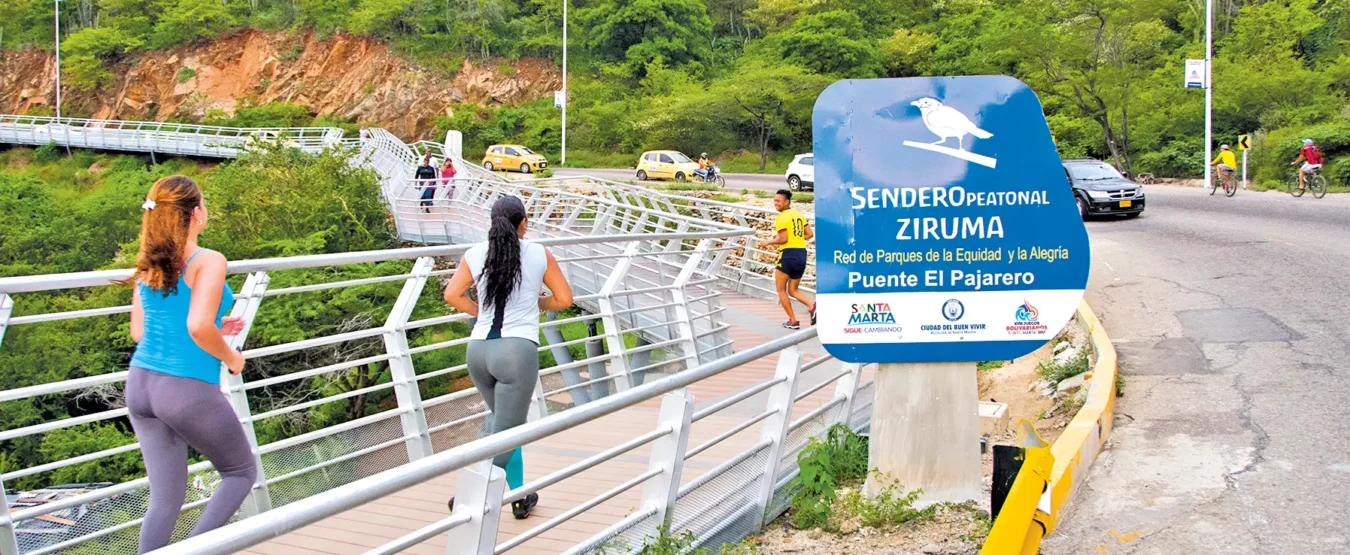 periodicoalbores.com